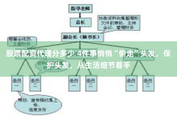 股票配资代理分多少 4件事悄悄“偷走”头发，保护头发，从生活细节着手