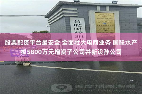 股票配资平台最安全 全面壮大电商业务 国联水产拟5800万元增资子公司并新设孙公司