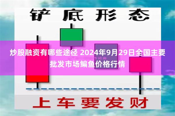 炒股融资有哪些途径 2024年9月29日全国主要批发市场鳊鱼价格行情