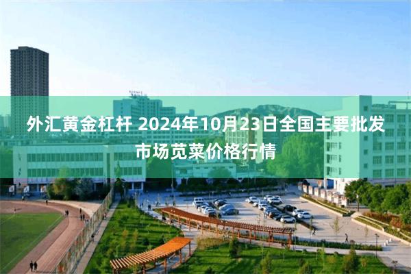 外汇黄金杠杆 2024年10月23日全国主要批发市场苋菜价格行情