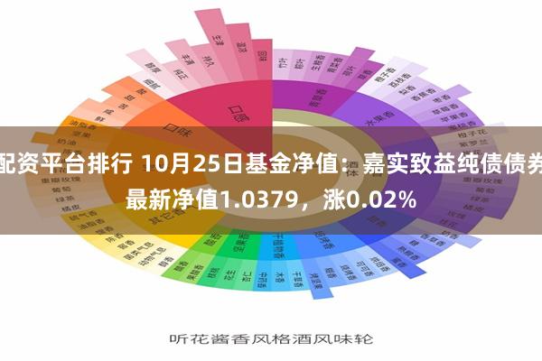 配资平台排行 10月25日基金净值：嘉实致益纯债债券最新净值1.0379，涨0.02%