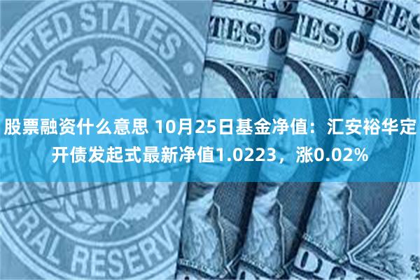 股票融资什么意思 10月25日基金净值：汇安裕华定开债发起式最新净值1.0223，涨0.02%