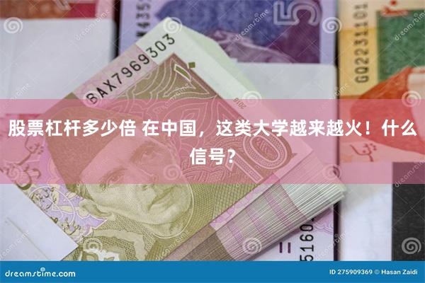 股票杠杆多少倍 在中国，这类大学越来越火！什么信号？