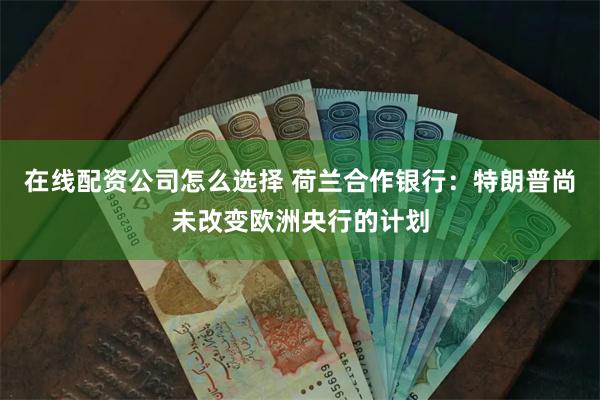 在线配资公司怎么选择 荷兰合作银行：特朗普尚未改变欧洲央行的计划